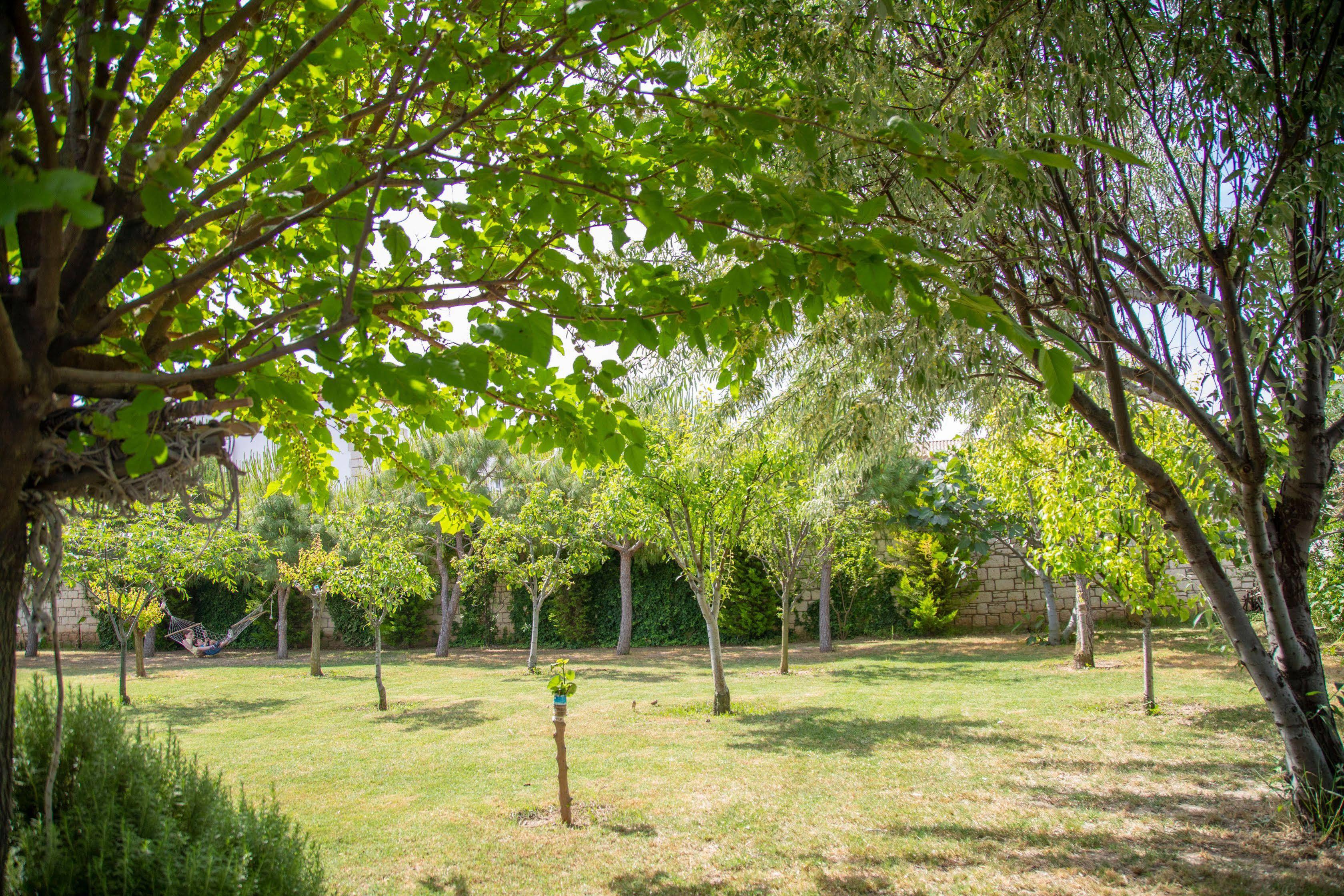 Dort Mevsim Alaçatı Dış mekan fotoğraf